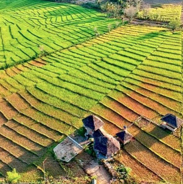 Tado Homestay Limbung エクステリア 写真
